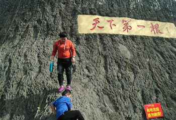 贾家庄生态园恐龙灯会第 21 张图片