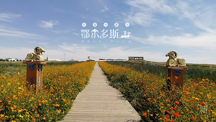 鄂尔多斯草原旅游区第 66 张图片