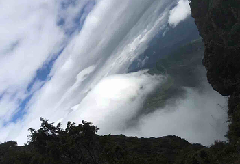 鸡冠山森林公园第 22 张图片