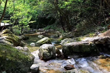 风崖谷第 31 张图片