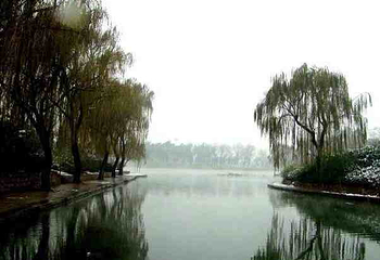 留仙湖公园第 20 张图片