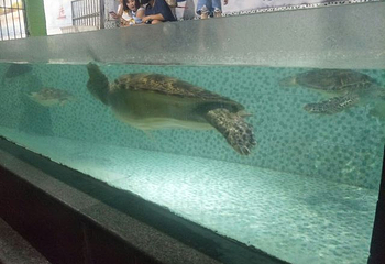 开封极地海洋世界第 30 张图片