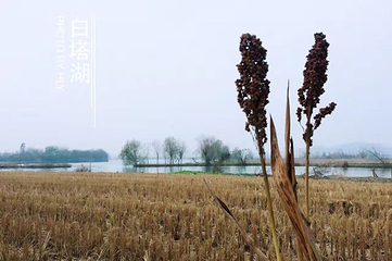 白塔湖景区第 19 张图片