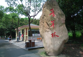 昆山森林公园第 10 张图片
