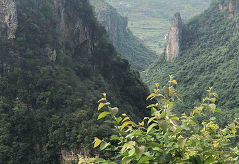 九洞天第 75 张图片