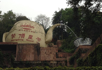 蒙顶山第 177 张图片