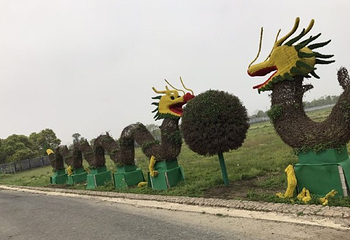 荻浦花海第 23 张图片
