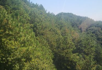 千岛湖中心湖区第 67 张图片