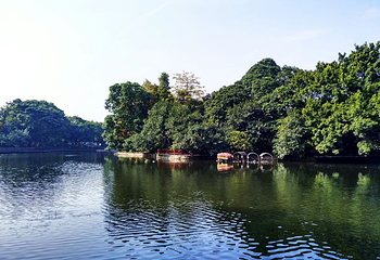 荔湾湖公园第 28 张图片