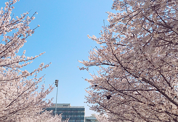 同济大学(四平路校区)第 31 张图片