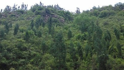 筇竹寺第 10 张图片