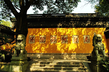 南山路第 16 张图片
