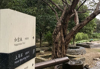 梁皇山景区第 52 张图片
