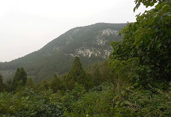 回龙山旅游区第 11 张图片