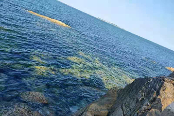 东炮台海滨旅游风景区第 29 张图片