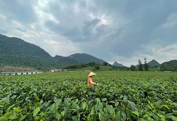 积庆里红茶谷第 20 张图片