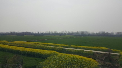 岐山周公庙景区第 7 张图片