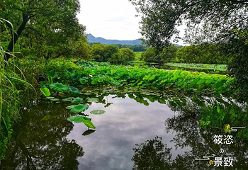 杭州花圃第 3 张图片