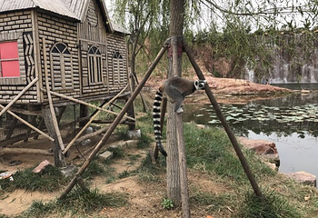 青山秀水旅游度假区第 7 张图片