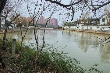 枫桥景区第 41 张图片