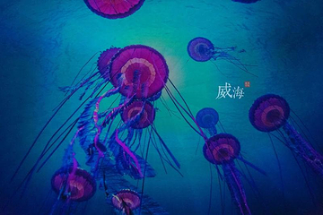 威海神游海洋世界第 42 张图片