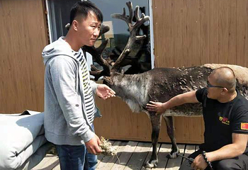 呼伦湖金海岸第 3 张图片