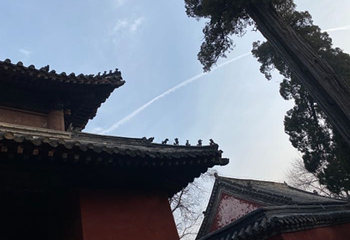 孔林第 18 张图片