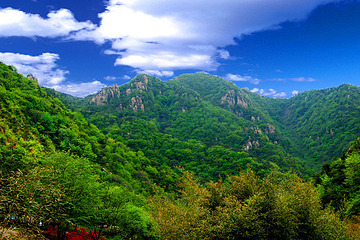 九仙山风景区第 23 张图片