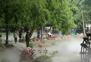 美丽南方第 36 张图片