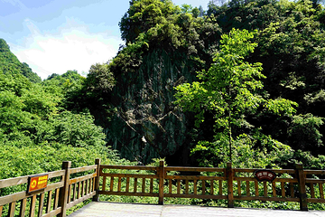 松柏风景区第 6 张图片