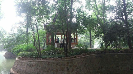 中山公园第 30 张图片