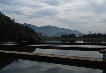 海花岛海洋乐园-热带雨林区第 4 张图片