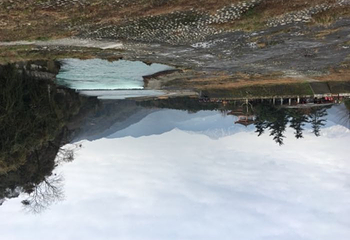 成都周游卡（青城山—都江堰+熊猫基地）第 18 张图片
