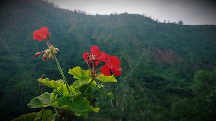 诸天寺第 2 张图片