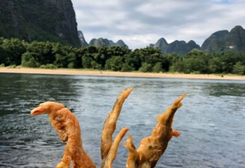 阳朔单车骑行第 20 张图片