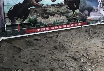 诸城中国暴龙馆第 24 张图片