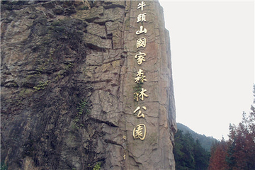 牛头山森林公园第 2 张图片