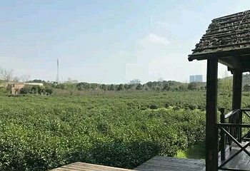 苏州旺山九龙潭风景区第 11 张图片