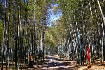 黄公望隐居地第 27 张图片