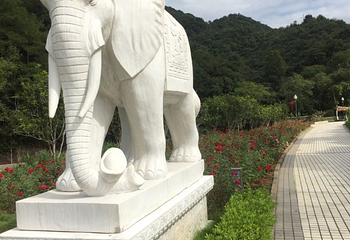 经律论文化旅游小镇第 52 张图片
