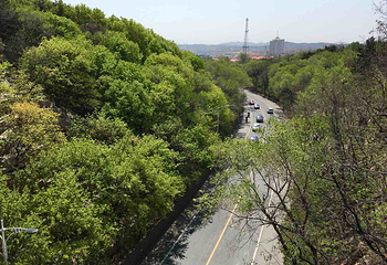 铁岭龙山第 15 张图片