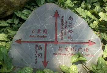 西双版纳南药园景区第 20 张图片