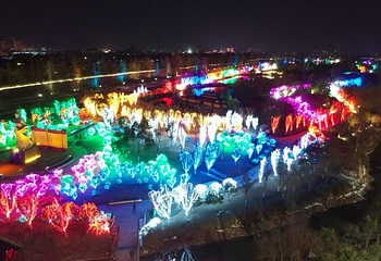 荆楚灯会第 10 张图片