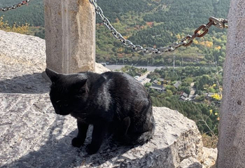 王府池子第 10 张图片