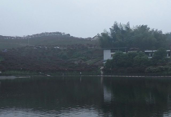 南湖多彩植物园第 56 张图片
