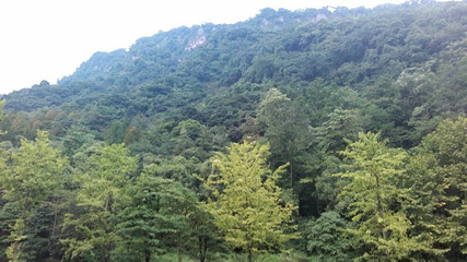 美洲四季滑雪场第 18 张图片