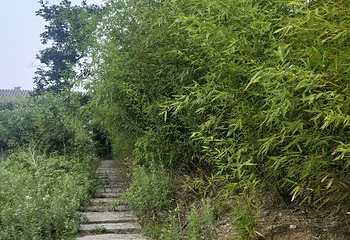 圣经山风景区第 23 张图片