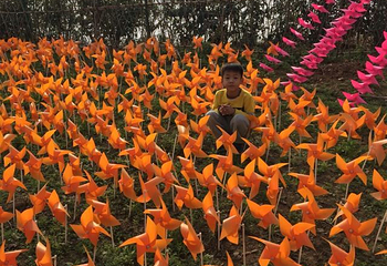 好秾人·鹅的假日农场第 18 张图片