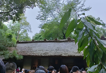 杜甫草堂第 499 张图片