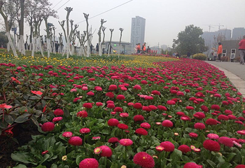 凤凰湖旅游景区第 27 张图片